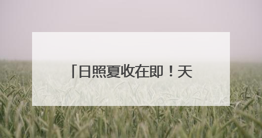 日照夏收在即！天气影响几何？气象台权威解读来了