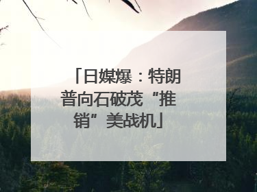 日媒爆：特朗普向石破茂“推销”美战机