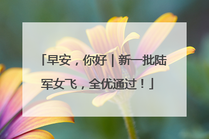早安，你好｜新一批陆军女飞，全优通过！