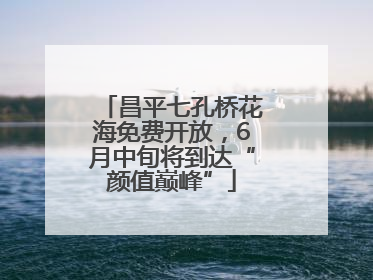 昌平七孔桥花海免费开放，6月中旬将到达“颜值巅峰”