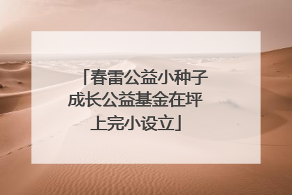 春雷公益小种子成长公益基金在坪上完小设立