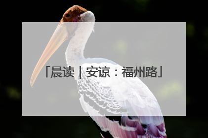 晨读｜安谅：福州路