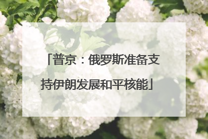 普京：俄罗斯准备支持伊朗发展和平核能