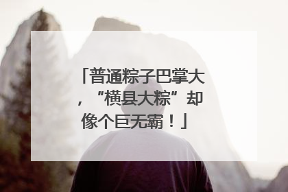 普通粽子巴掌大，“横县大粽”却像个巨无霸！