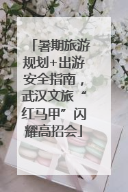 暑期旅游规划+出游安全指南，武汉文旅“红马甲”闪耀高招会