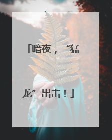暗夜，“猛龙”出击！