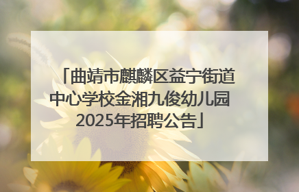 曲靖市麒麟区益宁街道中心学校金湘九俊幼儿园2025年招聘公告