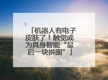 机器人有电子皮肤了！触觉或为具身智能“最后一块拼图”