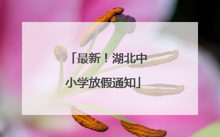 最新！湖北中小学放假通知