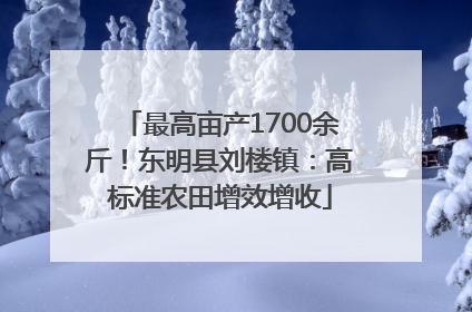 最高亩产1700余斤！东明县刘楼镇：高标准农田增效增收