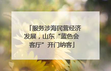 服务涉海民营经济发展，山东“蓝色会客厅”开门纳客