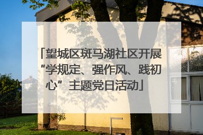 望城区斑马湖社区开展“学规定、强作风、践初心”主题党日活动