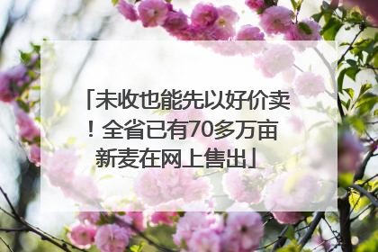 未收也能先以好价卖！全省已有70多万亩新麦在网上售出