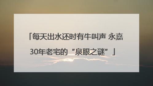 每天出水还时有牛叫声 永嘉30年老宅的“泉眼之谜”