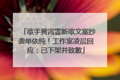 歌手黄霄雲新歌文案抄袭单依纯！工作室凌晨回应：已下架并致歉
