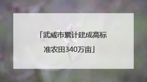 武威市累计建成高标准农田340万亩