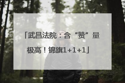 武昌法院：含“赞”量极高！锦旗1+1+1