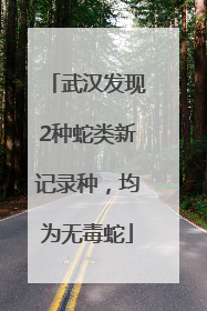 武汉发现2种蛇类新记录种，均为无毒蛇