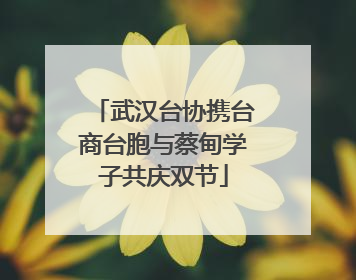 武汉台协携台商台胞与蔡甸学子共庆双节