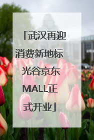 武汉再迎消费新地标 光谷京东MALL正式开业