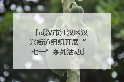 武汉市江汉区汉兴街道组织开展“七一”系列活动