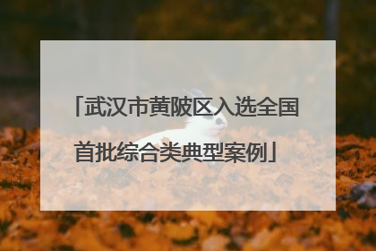 武汉市黄陂区入选全国首批综合类典型案例
