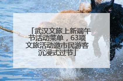 武汉文旅上新端午节活动菜单，63项文旅活动邀市民游客沉浸式过节