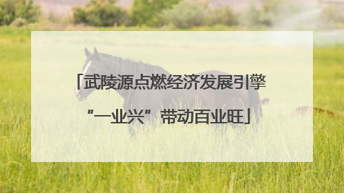 武陵源点燃经济发展引擎 “一业兴”带动百业旺