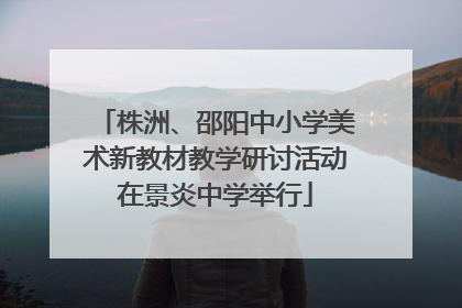 株洲、邵阳中小学美术新教材教学研讨活动在景炎中学举行