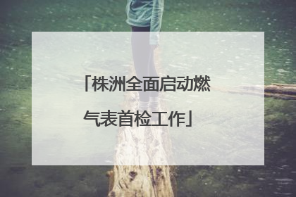 株洲全面启动燃气表首检工作