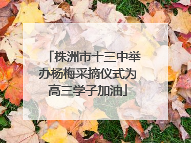 株洲市十三中举办杨梅采摘仪式为高三学子加油
