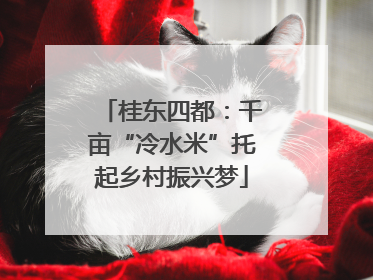 桂东四都：千亩“冷水米”托起乡村振兴梦