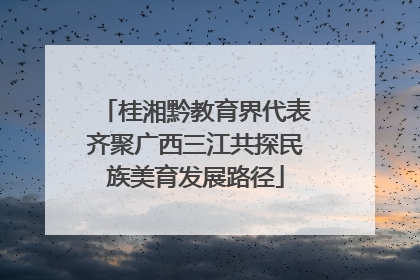 桂湘黔教育界代表齐聚广西三江共探民族美育发展路径
