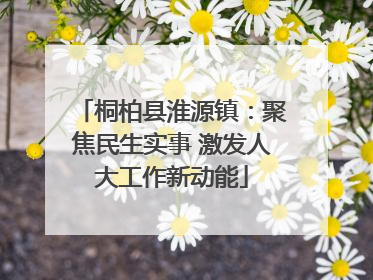 桐柏县淮源镇：聚焦民生实事 激发人大工作新动能