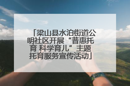 梁山县水泊街道公明社区开展“普惠托育 科学育儿”主题托育服务宣传活动