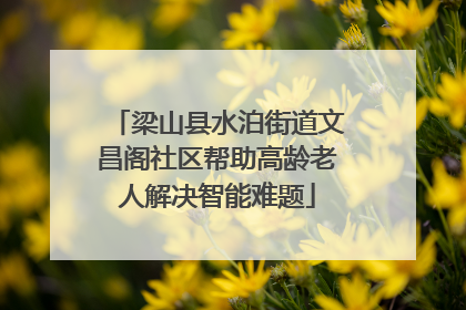 梁山县水泊街道文昌阁社区帮助高龄老人解决智能难题