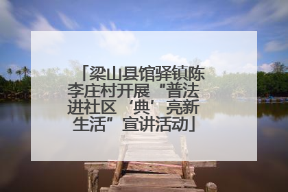 梁山县馆驿镇陈李庄村开展“普法进社区‘典’亮新生活”宣讲活动