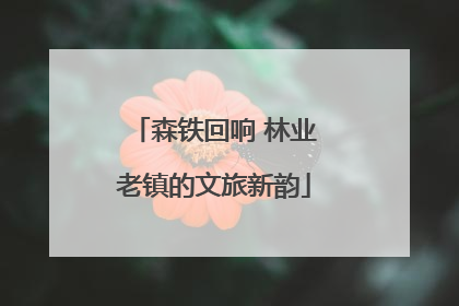 森铁回响 林业老镇的文旅新韵