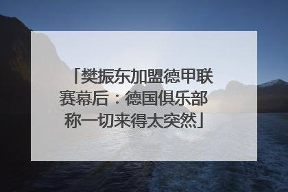 樊振东加盟德甲联赛幕后：德国俱乐部称一切来得太突然