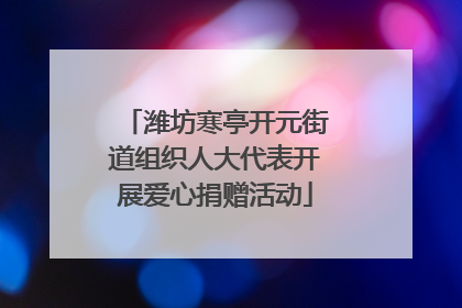 潍坊寒亭开元街道组织人大代表开展爱心捐赠活动