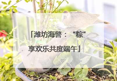 潍坊海警：“粽”享欢乐共度端午