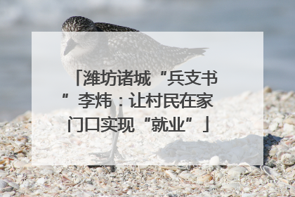 潍坊诸城“兵支书”李炜：让村民在家门口实现“就业”