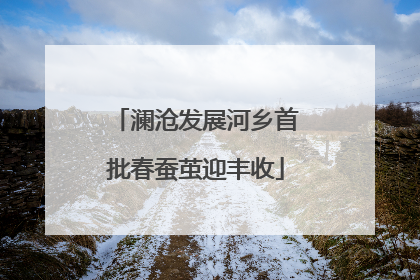 澜沧发展河乡首批春蚕茧迎丰收