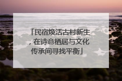 民宿焕活古村新生，在诗意栖居与文化传承间寻找平衡