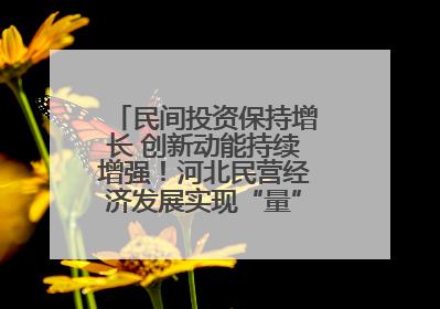 民间投资保持增长 创新动能持续增强！河北民营经济发展实现“量”“质”双提升