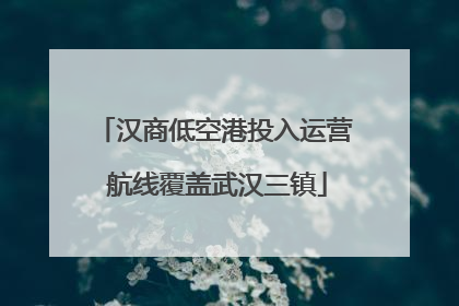汉商低空港投入运营 航线覆盖武汉三镇