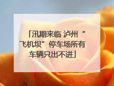 汛期来临 泸州“飞机坝”停车场所有车辆只出不进