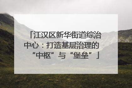 江汉区新华街道综治中心：打造基层治理的“中枢”与“堡垒”
