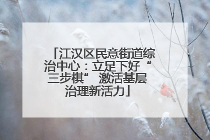 江汉区民意街道综治中心：立足下好“三步棋” 激活基层治理新活力