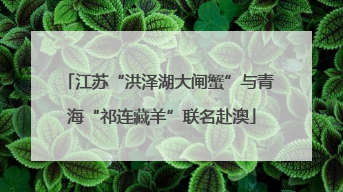 江苏“洪泽湖大闸蟹”与青海“祁连藏羊”联名赴澳